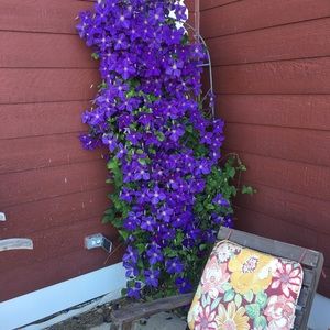 Meet your Posher, Abba